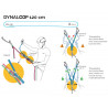 Anneau Dynaloop 120cm Beal