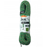 Corde escalade 70m TIGER Drycover Unicore 10mm vert BEAL