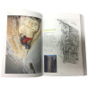 Livre Topo Escalade ITINERAIRES D'UN GRIMPEUR GATE tome 1 de Philippe Mussatto - Gap Editions