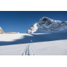Ski de rando SUPERWOLF 91 CARBON noir MAJESTY 2022