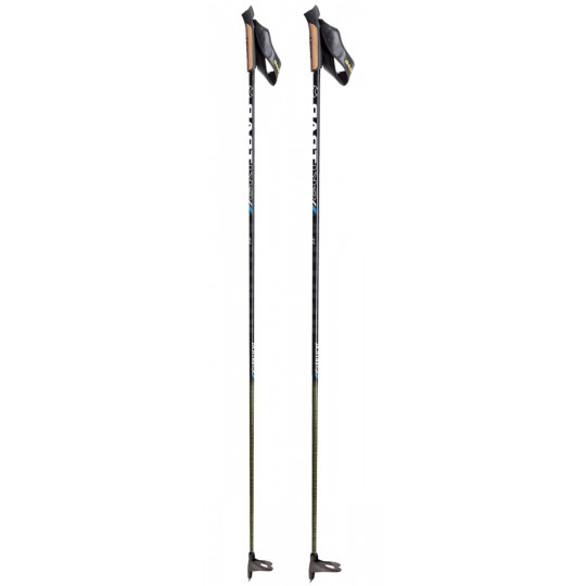 Bâtons ski monobrin VERTICAL CARBON QC SkiTrab 2022 (la paire)