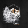 Tee-shirt laine Mérino FURRY 2.0 MONT-BLANC noir DirectAlpine