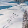 Ski de rando léger ULTRA 84 CARBON noir-blanc Hagan 2024