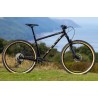 Vélo Tout Terrain PINE MOUNTAIN 2 noir 29" MARIN BIKES 2024