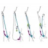 Longe assurage double EXPRESSO 35-75cm bleu BEAL
