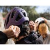 Casque escalade INDY purple BEAL