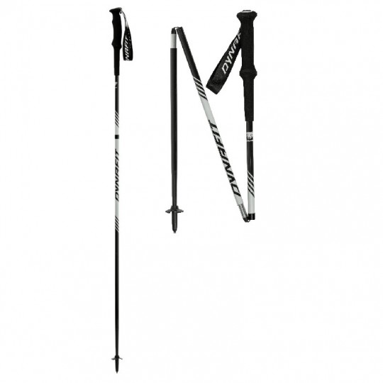 Bâtons Trail Running ALPINE PRO POLE nimbus DYNAFIT 2024 (la paire)