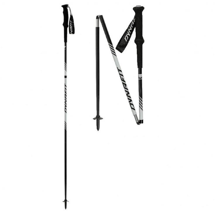 Bâtons Trail Running ALPINE PRO POLE nimbus DYNAFIT 2024 (la paire)