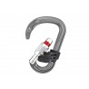 Mousqueton à vis ATTACHE Screw-Lock gris Petzl 2024