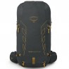 Sac à dos TALON VELOCITY 30 charcoal-yellow Osprey Packs