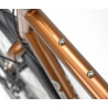 Vélo Trekking Tour de Fer 20 bronze GENESIS Bikes 2025