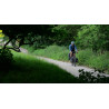 Vélo Trekking Tour de Fer 40 bordeau GENESIS Bikes 2025
