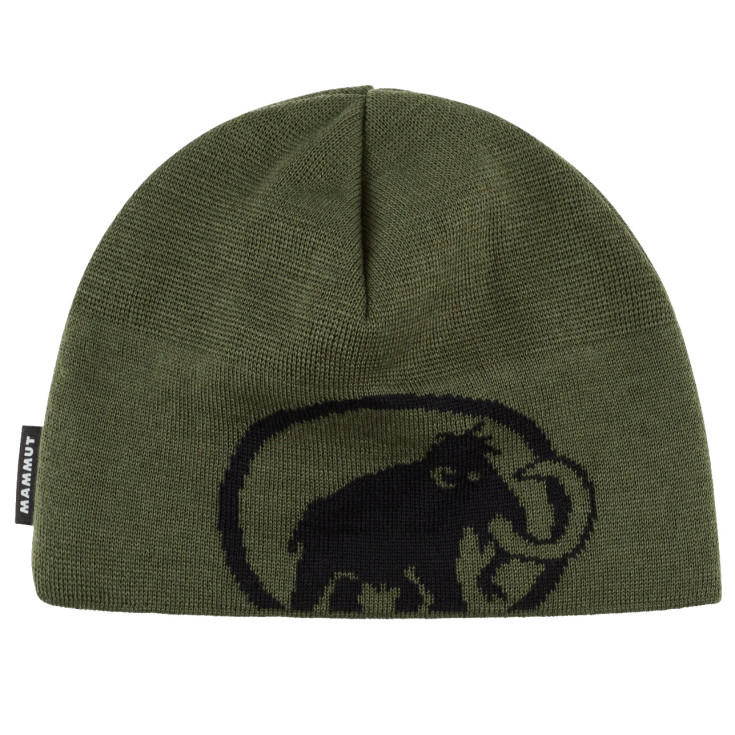 Bonnet TWEAK LOGO BEANIE dark-marsh-green Mammut