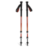 Bâtons de marche 3 brins TRAIL BACK TREKKING POLES burnt-sienna Black Diamond (la paire)