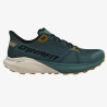 Chaussure Trail Running ULTRA blueberry-rock kaki DYNAFIT