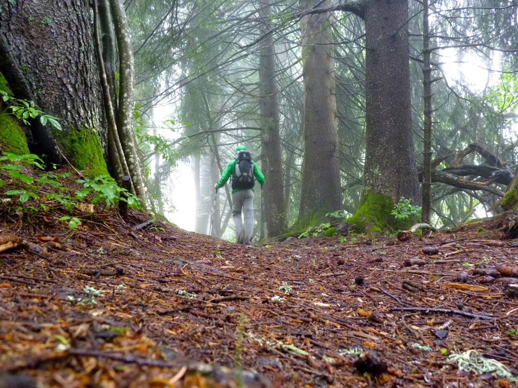 Entre les Déserts et les Chavonnes, massif des Bauges, lors du test de la chaussure Millet Trident GTX