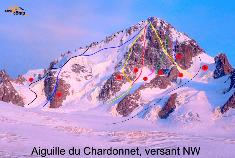 Chardonnet