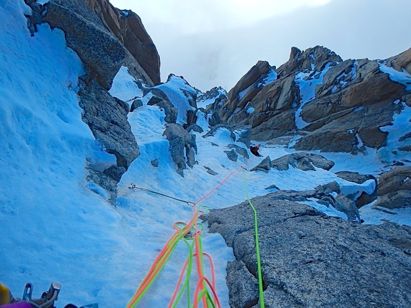 chardonnet voie debruyne manu