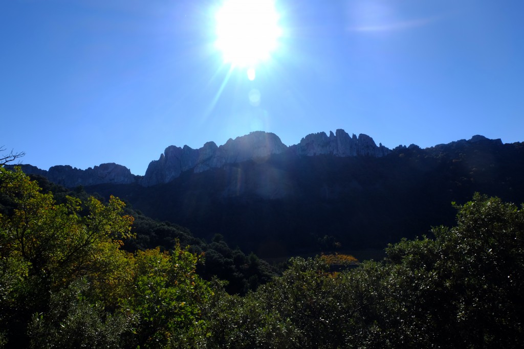 Dentelles de Montmirail