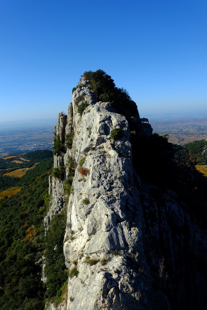 Dentelles de Montmirail