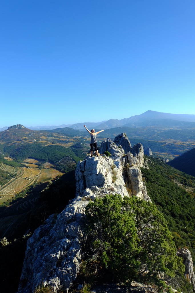 Dentelles de Montmirail