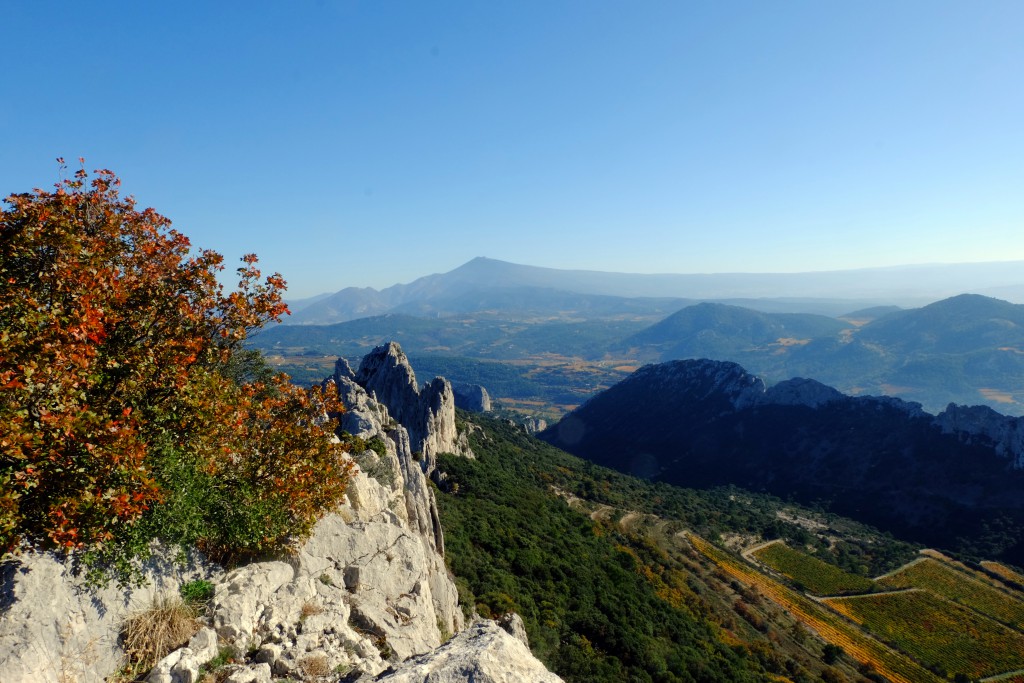 Dentelles de Montmirail