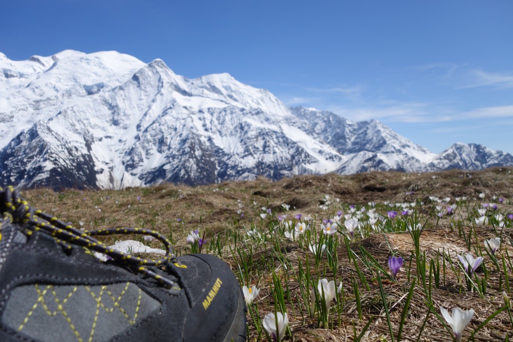 Chaussure Mammut Ridge Low GTX