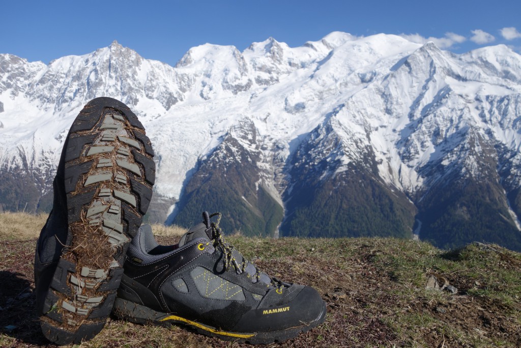 Chaussure Mammut Ridge Low GTX