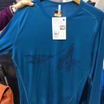 Tee shirt Icebreaker homme avec logo montagne