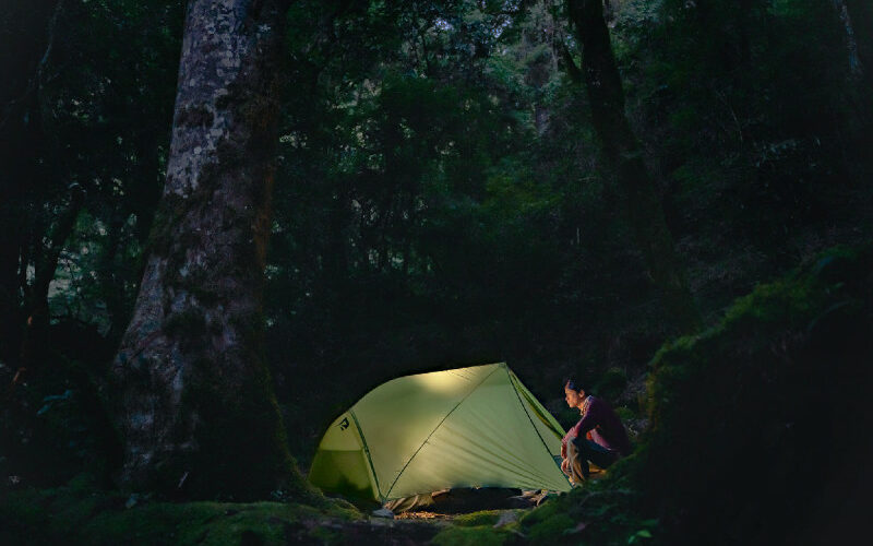 Nuit en forêt, à l'abri des moustiques et de l'humidité