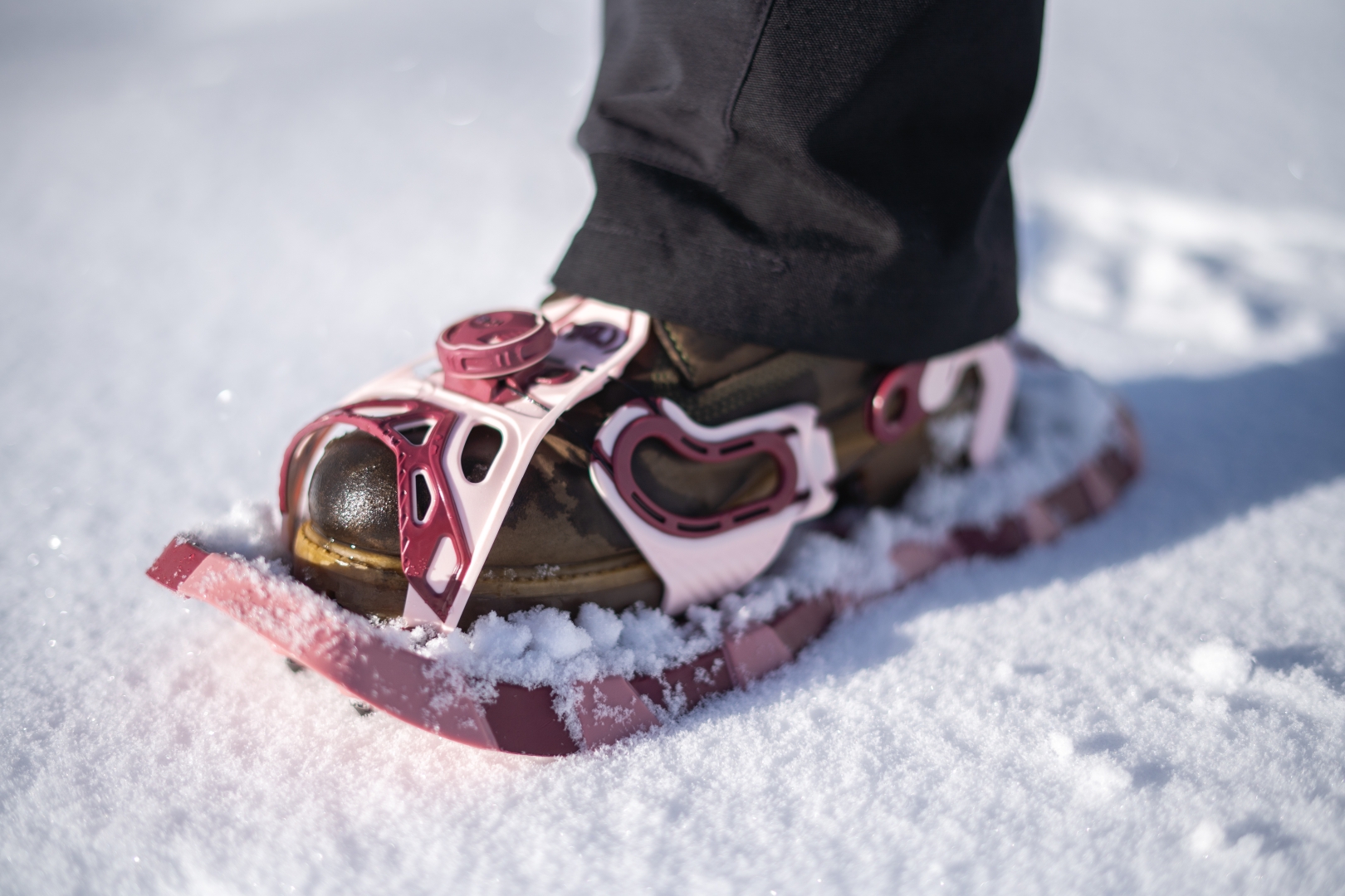 Set Raquettes Neige Odoland 4en1 - Avec Bâtons, Guêtres Et Sac - Pour Randonnée Hivernale - Taille Universelle