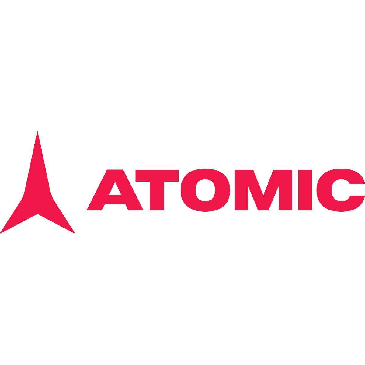 Atomic Skis