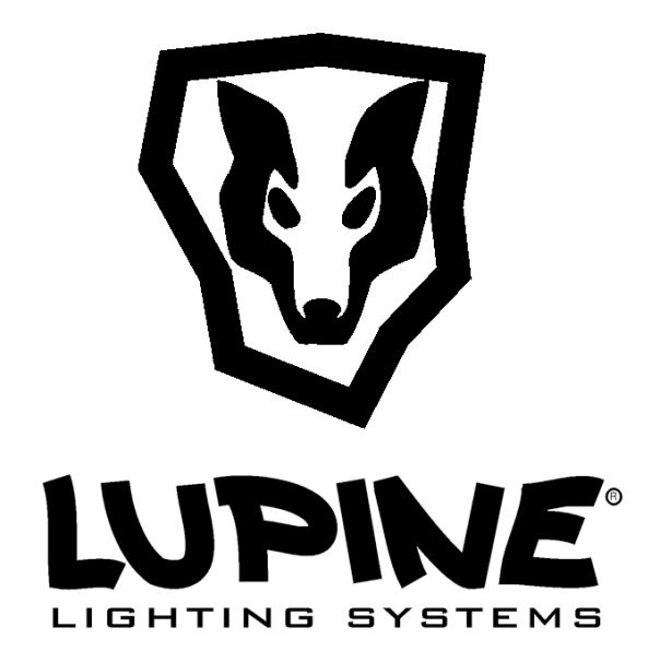 Lupine